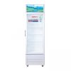 Tủ mát Sanaky VH-218KL | 170L 1 cánh