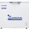Tủ đông Alaska BD-300 | 205L 1 ngăn 1 cánh