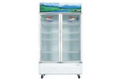 Tủ mát Sanaky VH-1209HP | 1200L 2 cánh