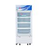 Tủ mát Alaska LC-233H | 205L 1 cánh