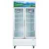 Tủ mát Sanaky VH-1009HP3 | 900L 2 cánh inverter