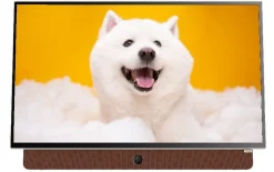 Tivi Coocaa 24LP6000G | 24 inch FHD LED Google