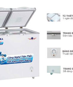 Tủ đông Alaska BCD-4567N | 282L 2 ngăn 2 cánh inverter 2 Tủ đông Alaska BCD-4567N | 282L 2 ngăn 2 cánh inverter - Ảnh 2