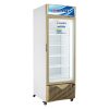 Tủ đông Alaska IF-350G | 350L 1 ngăn 1 cánh