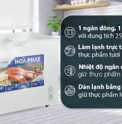 Tủ đông Hòa Phát HPF AD6252 | 252L 1 ngăn inverter 3 -