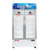Tủ mát Darling DL-7000A2 | 630L 2 cánh