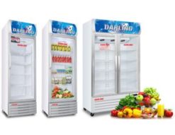 Tủ mát Darling DL-3500A | 350L 1 cánh 9 -