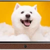 Tivi Coocaa 24LP6000G | 24 inch FHD LED Google