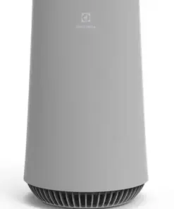 Máy lọc không khí Electrolux FA31-202GY 2 -