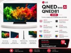 Smart Tivi LG QNED AI 4K 55 inch 55QNED81BSA