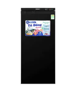Tủ đông Sanaky Vh 180vd3