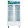 Tủ mát Sanaky VH-1009HP3 | 900L 2 cánh inverter