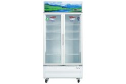 Tủ mát Sanaky VH-1009HP3 | 900L 2 cánh inverter