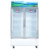 Tủ mát Sanaky VH-1209HP3 | 1100L 2 cánh inverter