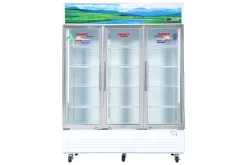 Tủ mát Sanaky VH-1520HP | 1300L 3 cánh