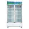 Tủ mát Sanaky VH-1209HP | 1200L 2 cánh