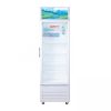 Tủ mát Sanaky VH-308K3L | 240L 1 cánh inverter