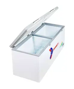 Tủ đông Sanaky VH-6699HYK | 530L 1 ngăn 2 cánh 3 -
