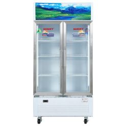 Tủ mát Sanaky VH-6009HP | 500L 2 cánh
