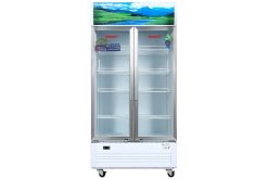 Tủ mát Sanaky VH-8009HP | 700L 2 cánh inverter