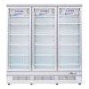Tủ đông Alaska IF-1100G3 | 1090L 1 ngăn 3 cánh