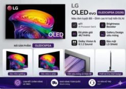 Smart Tivi OLED LG AI 4K 83 inch OLED83C6PSA