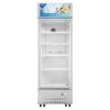 Tủ mát Aqua AQS-AF400S | 300L 1 cánh