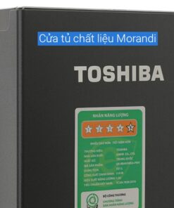 Tủ lạnh Toshiba GR-RB405WEA-PMV(06)-MG | 321L 2 cánh inverter 19 Tủ lạnh Toshiba GR-RB405WEA-PMV(06)-MG - hình số 19