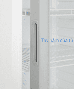 Tủ mát Hòa Phát HSR D6195 | 195L 1 cánh 8 -