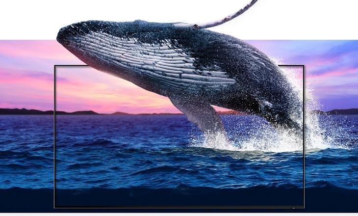 cac-dong-tivi-samsung-nam-2019-1 dòng tivi samsung 2019