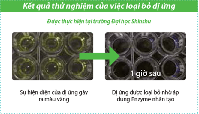 Màng lọc Enzyme chống dị ứng