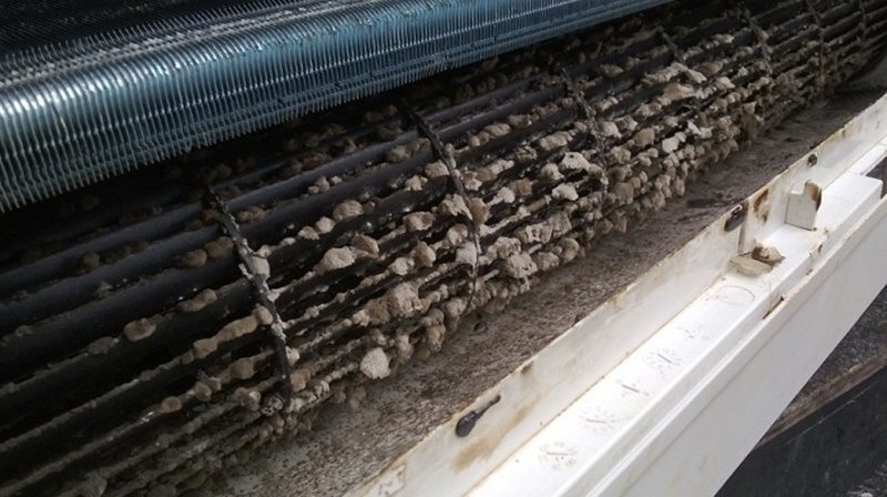 Dàn lạnh quá bẩn là nguyên nhân khiến điều hòa LG bị chảy nước