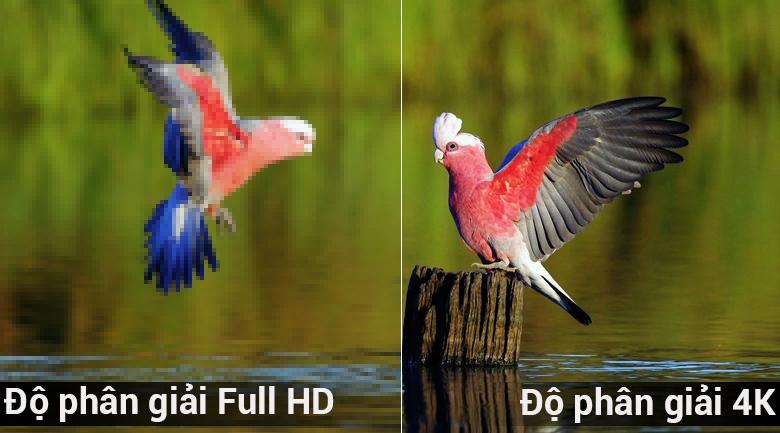 nen-mua-tivi-4k-hay-full-hd-1 Nên mua tivi 4K hay Full HD