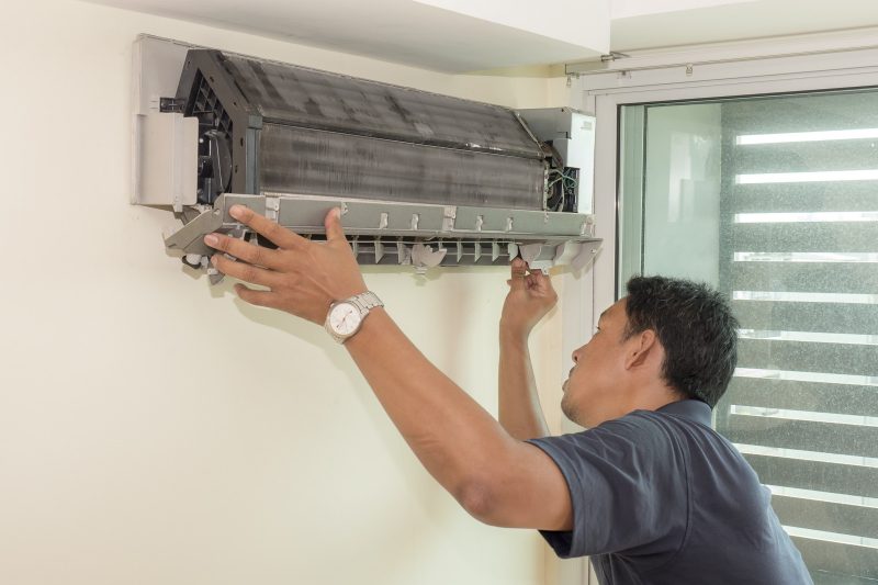 quan dan lanh bi hong jpg