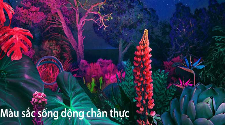 smart-tivi-samsung-4k-43-inch-ua43bu8500-4 Công nghệ Dynamic Crystal Color cho màu sắc như thật