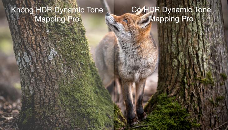 top 3 tivi lg 75 inch dang mua9