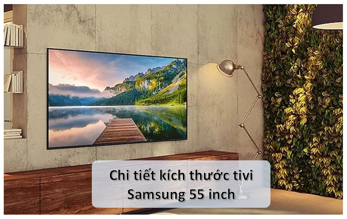 kich thuoc tivi samsung 55 inch