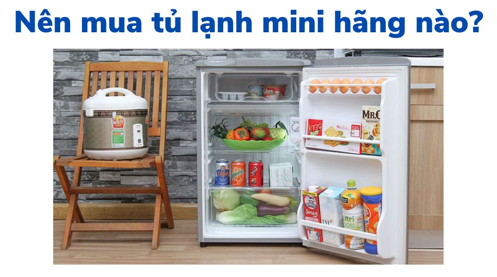 nen mua tu lanh mini hang nao